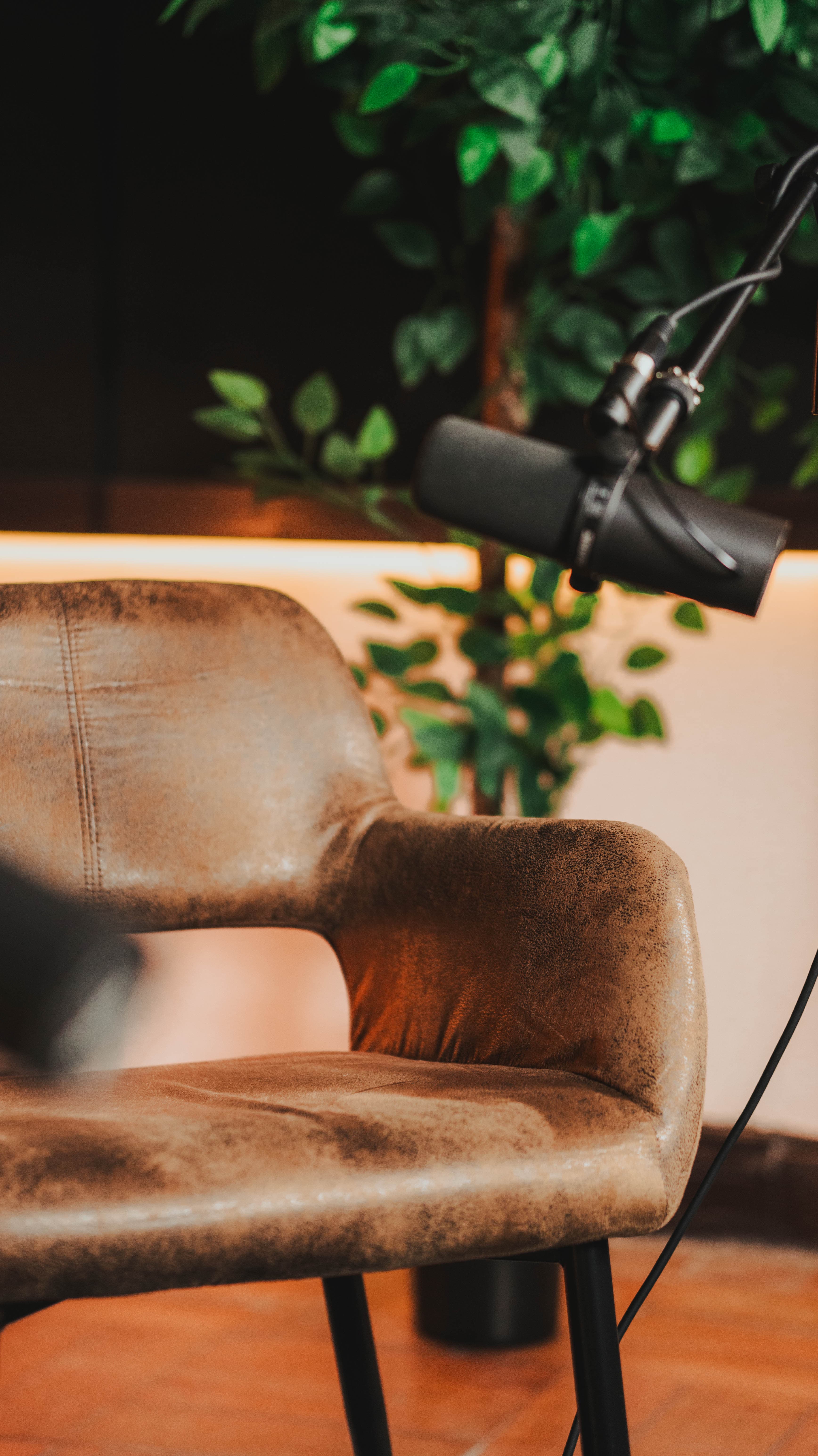 Sillón y Micrófono